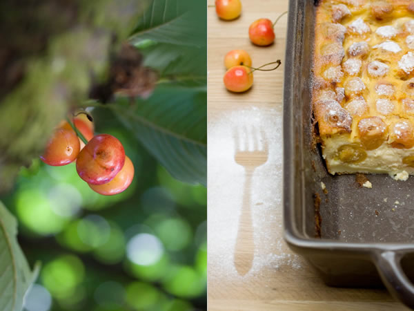 Photographie culinaire clafoutis-aux-cerises