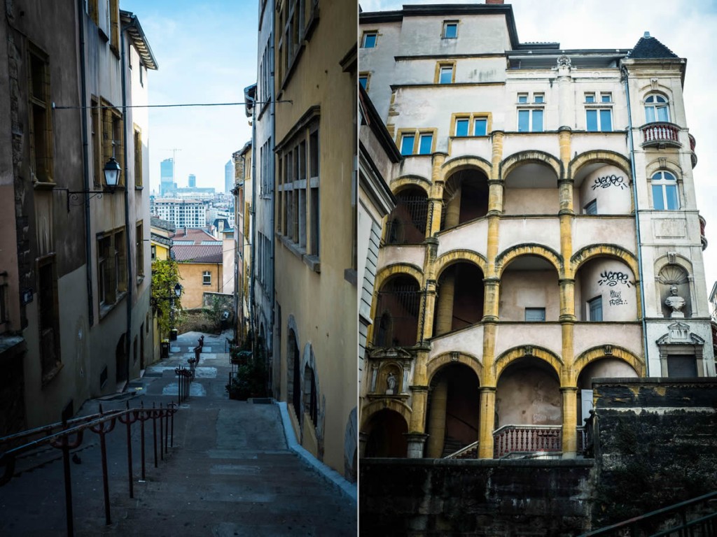 Lyon, à la découverte du cardon