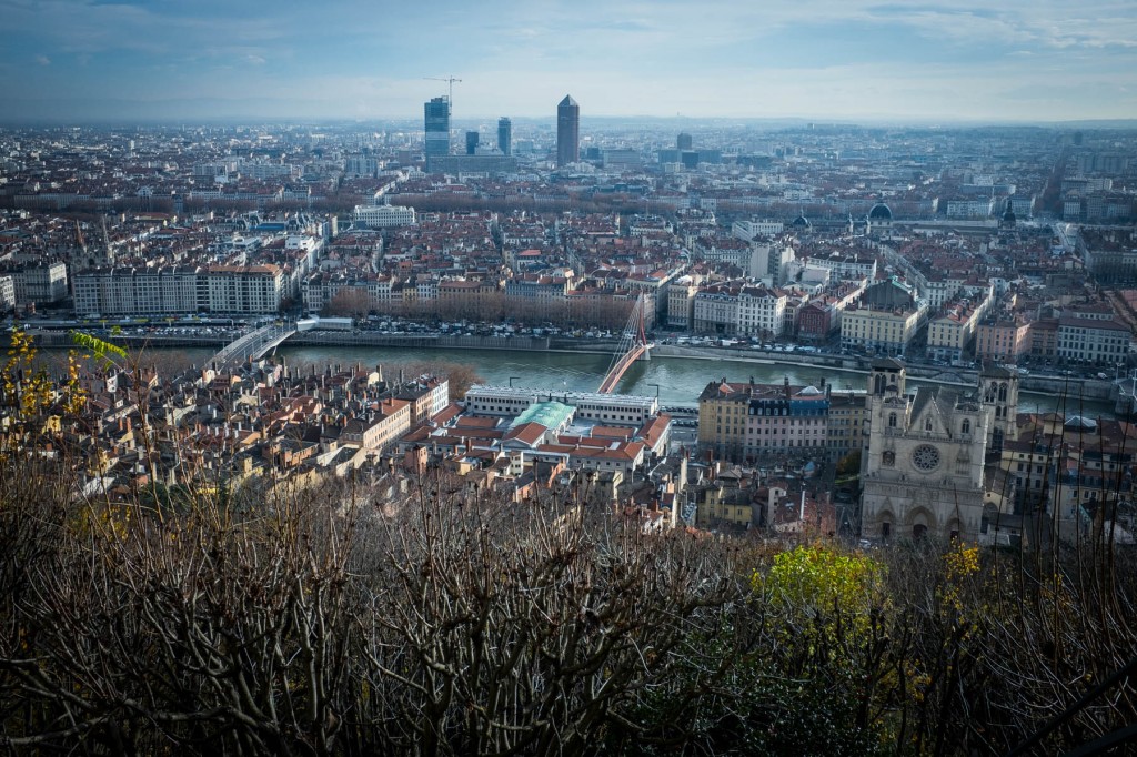 Lyon, à la découverte du cardon