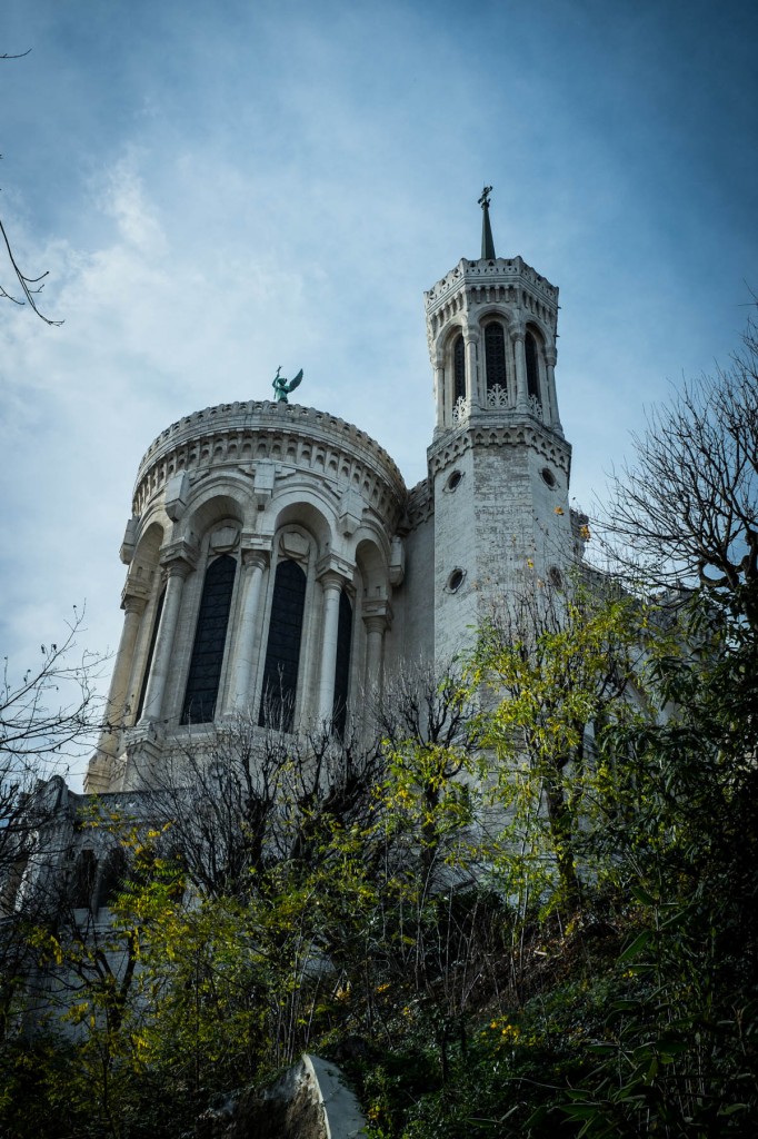 Lyon, à la découverte du cardon