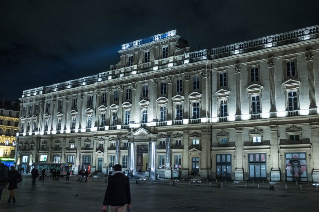 Lyon, à la découverte du cardon